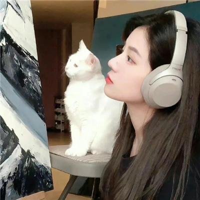 如果历史是一群喵第六季